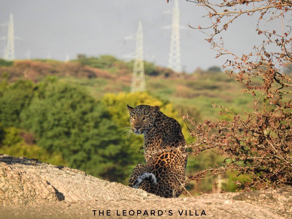 Jawai Leopard Villa Bijapur  Екстериор снимка