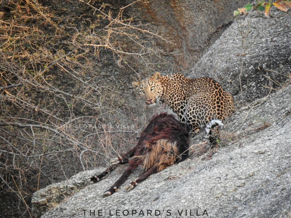 Jawai Leopard Villa Bijapur  Екстериор снимка