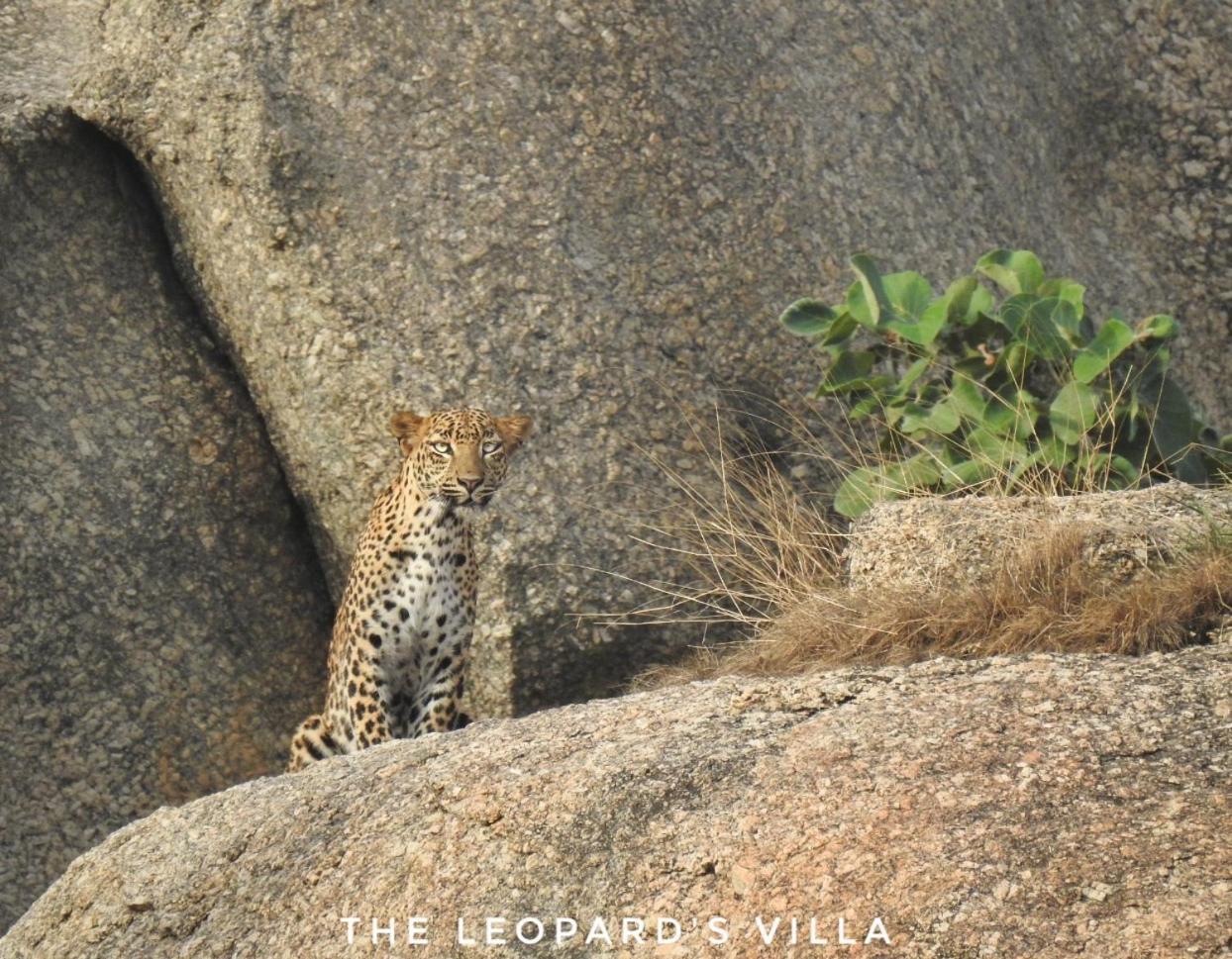 Jawai Leopard Villa Bijapur  Екстериор снимка