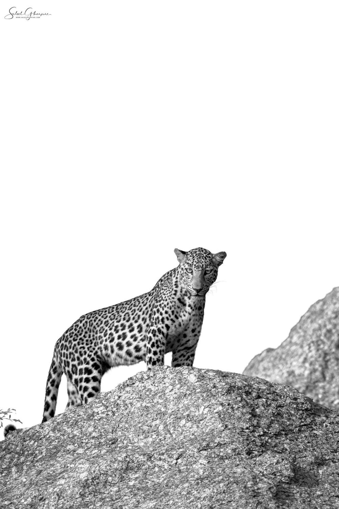 Jawai Leopard Villa Bijapur  Екстериор снимка