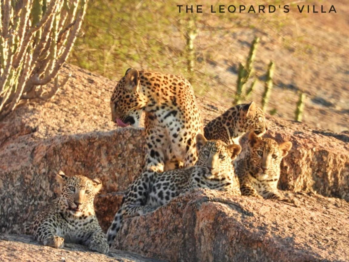 Jawai Leopard Villa Bijapur  Екстериор снимка