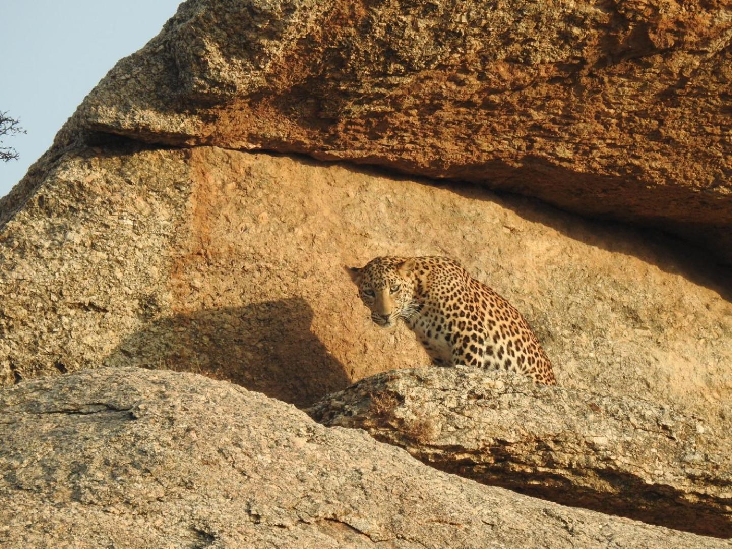 Jawai Leopard Villa Bijapur  Екстериор снимка